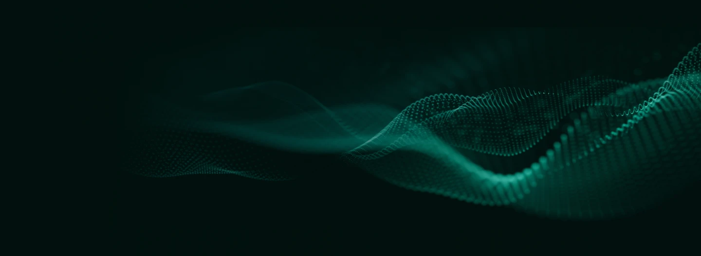 การประดับประดา